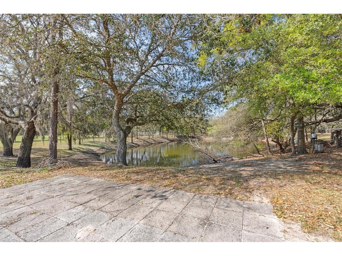 3634 Apfel Road Wesley Chapel FL 33543 O6289798 image38