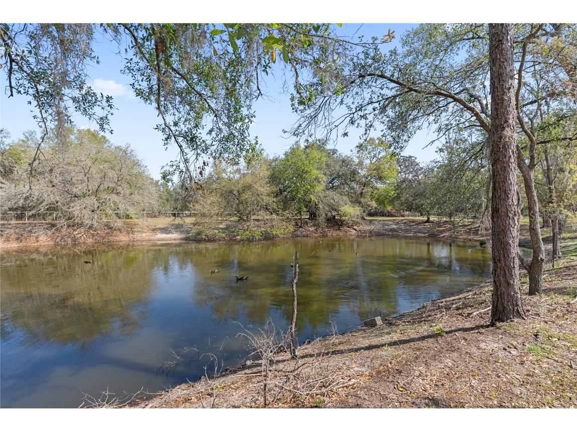 3634 Apfel Road Wesley Chapel FL 33543 O6289798 image4