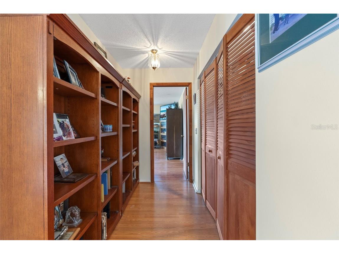 3634 Apfel Road Wesley Chapel FL 33543 O6289798 image6