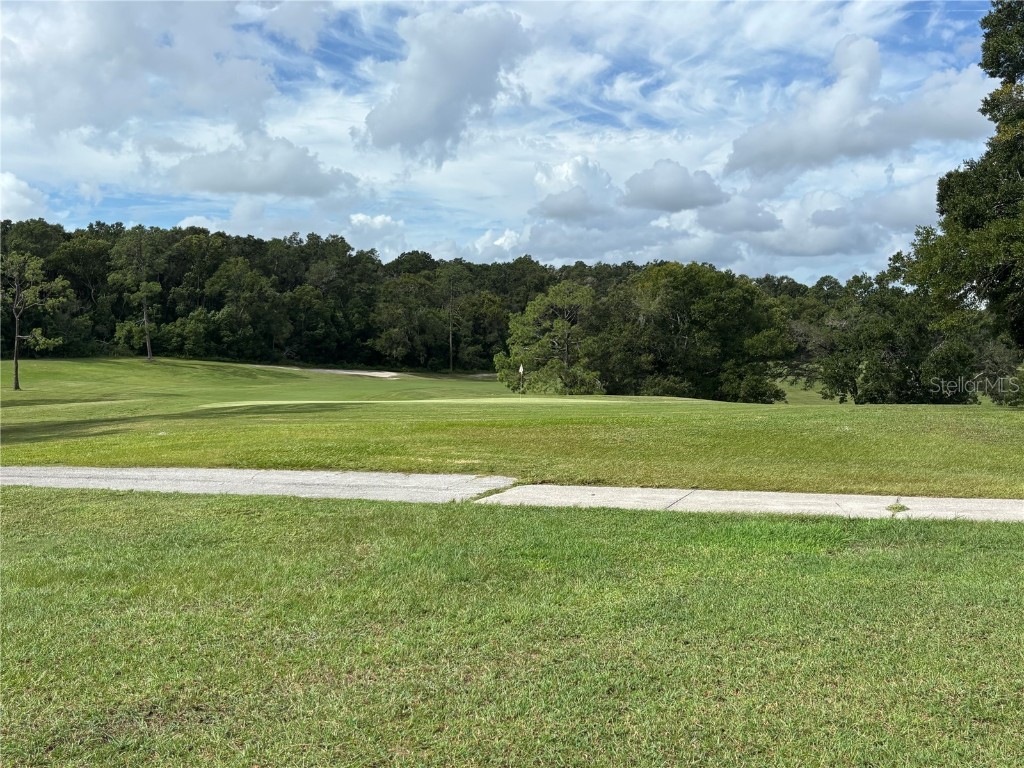 3634 South Citrus Circle #1433 Zellwood FL 32798 - LAKE CAYMAN AND LAKE GRASSMERE O6350860 image22