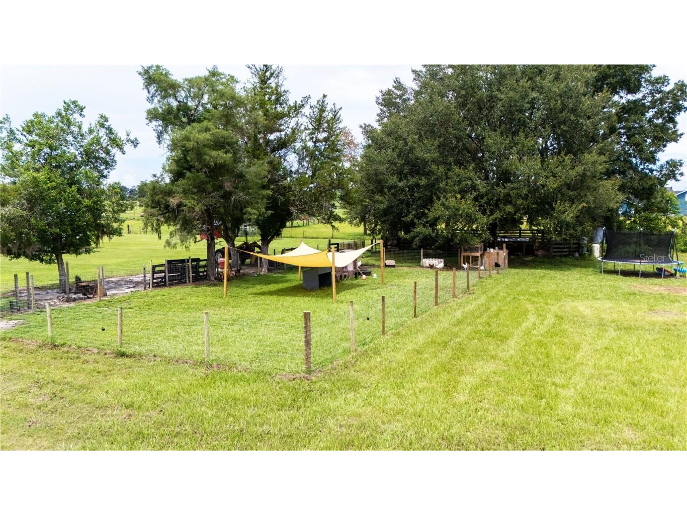 36341 Florrie Mae Lane Dade City FL 33523 TB8421833 image14