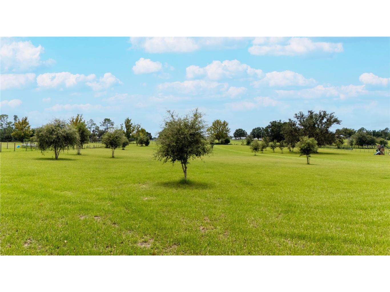 36341 Florrie Mae Lane Dade City FL 33523 TB8421833 image20