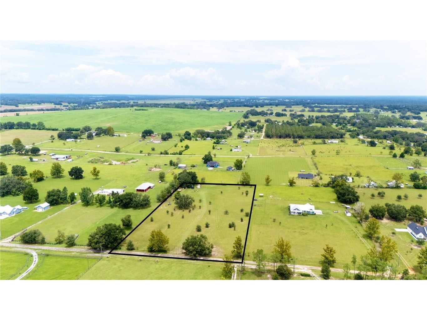 36341 Florrie Mae Lane Dade City FL 33523 TB8421833 image3