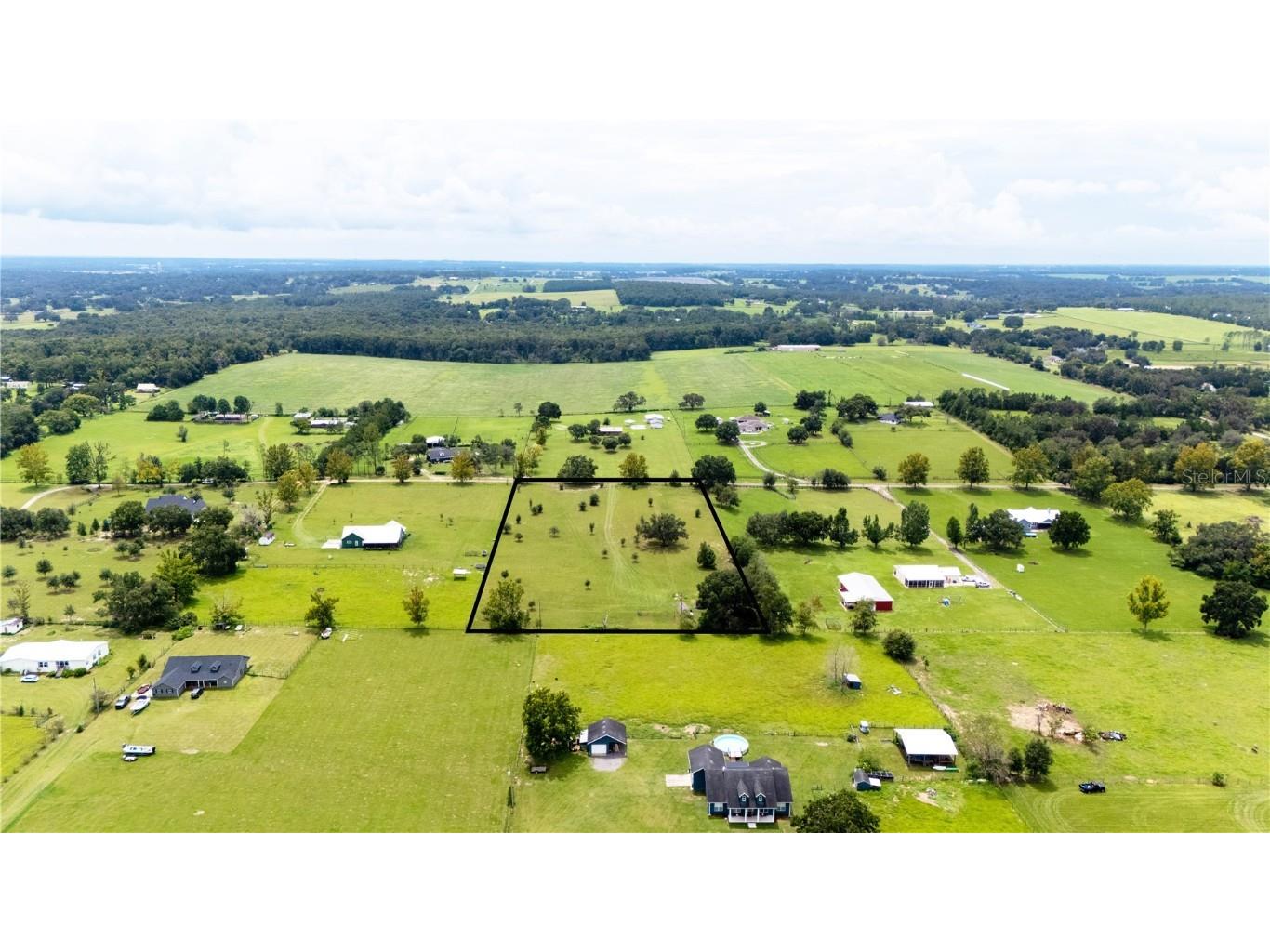 36341 Florrie Mae Lane Dade City FL 33523 TB8421833 image6