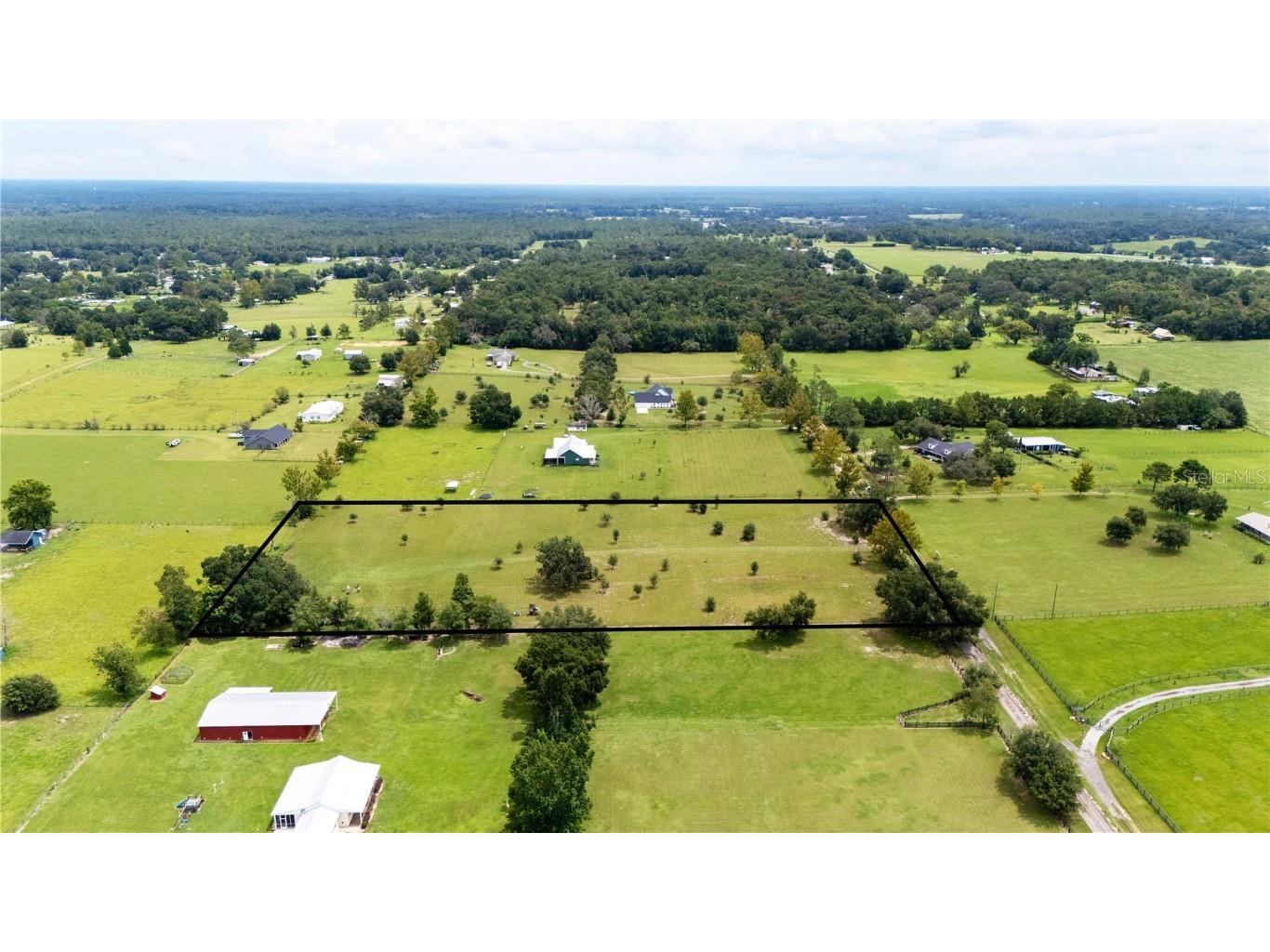 36341 Florrie Mae Lane Dade City FL 33523 TB8421833 image7