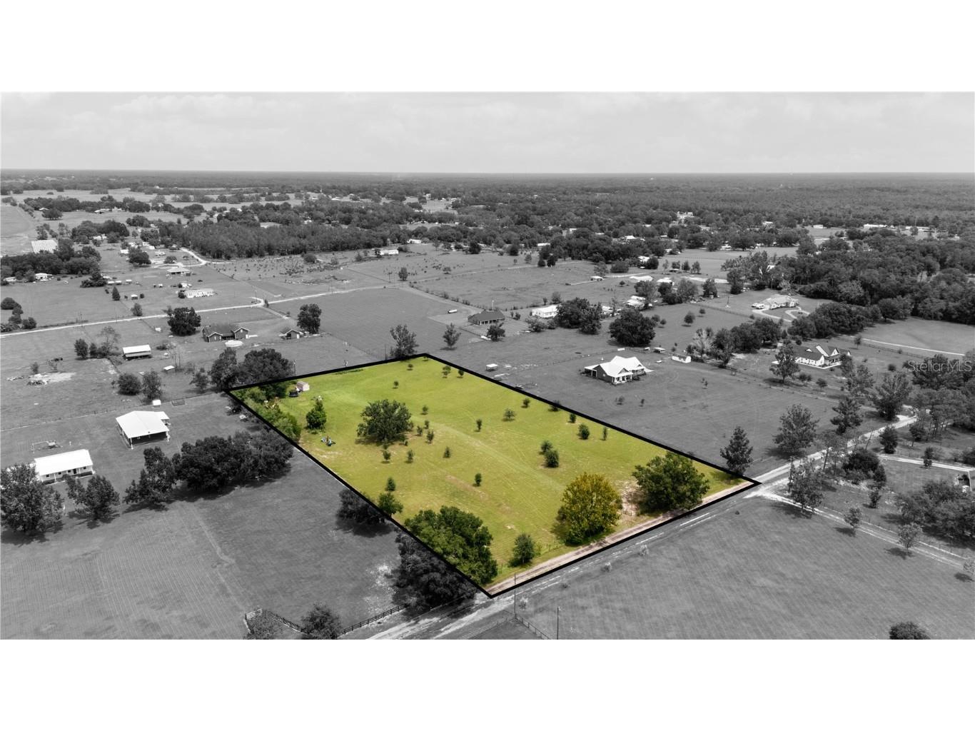 36341 Florrie Mae Lane Dade City FL 33523 TB8421833 image8