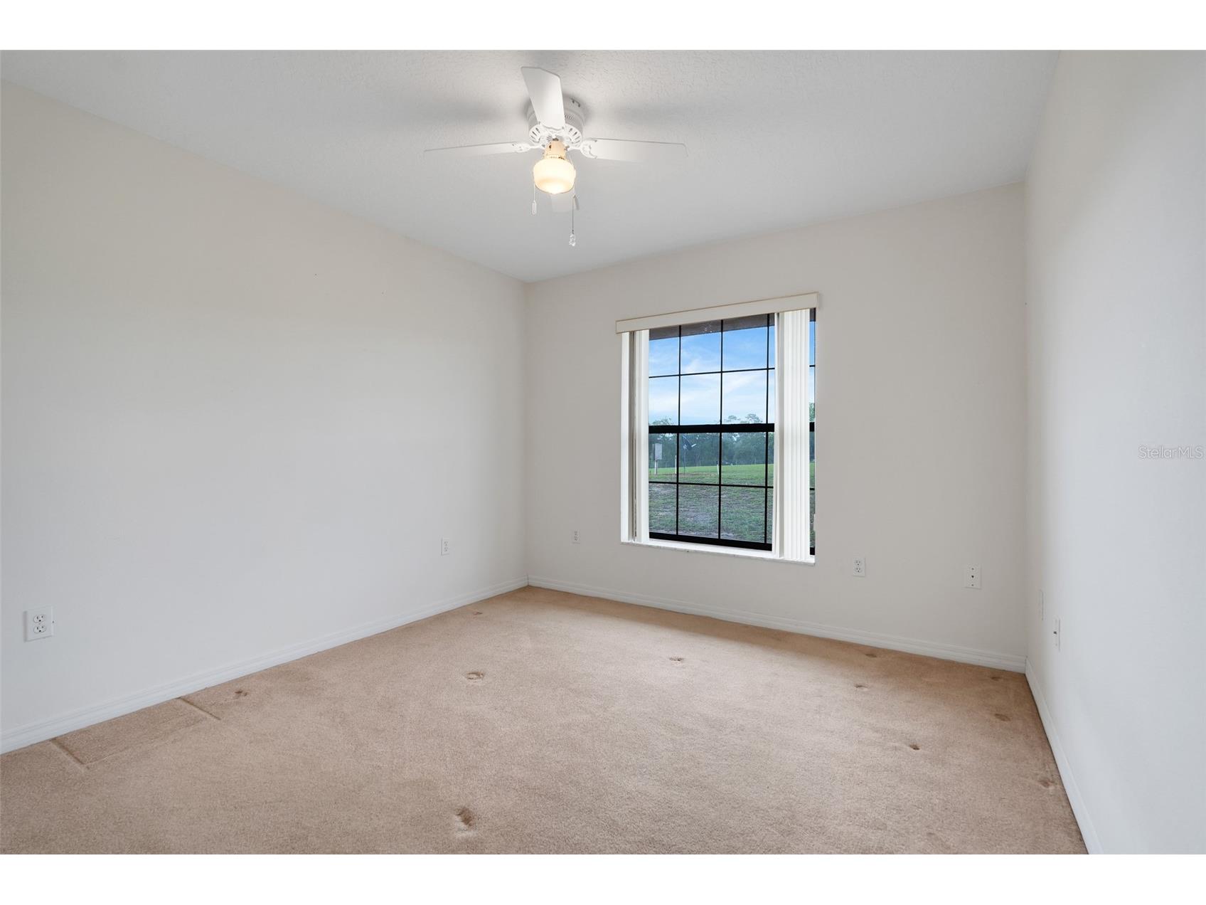 36343 Calhoun Road Eustis FL 32736 TB8523666 image21