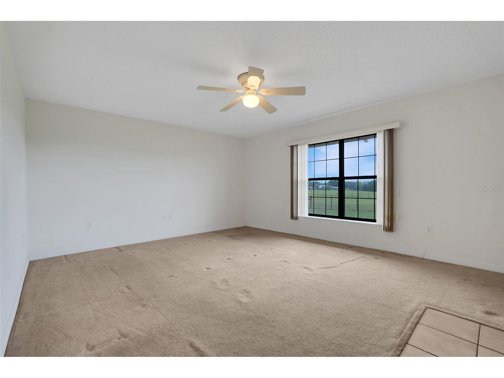 36343 Calhoun Road Eustis FL 32736 TB8523666 image8