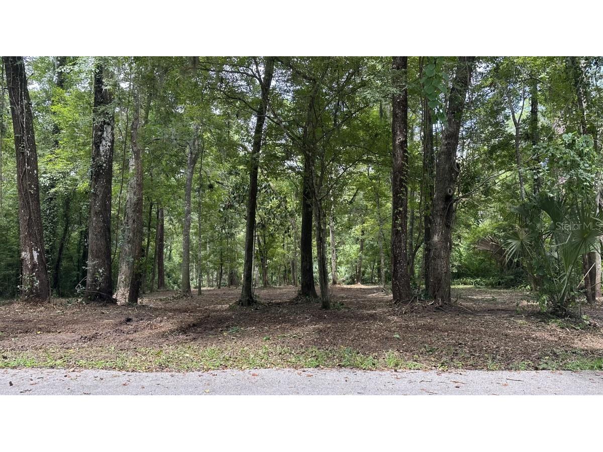 3635 NW 30th Boulevard Gainesville FL 32605 A4660668 image1