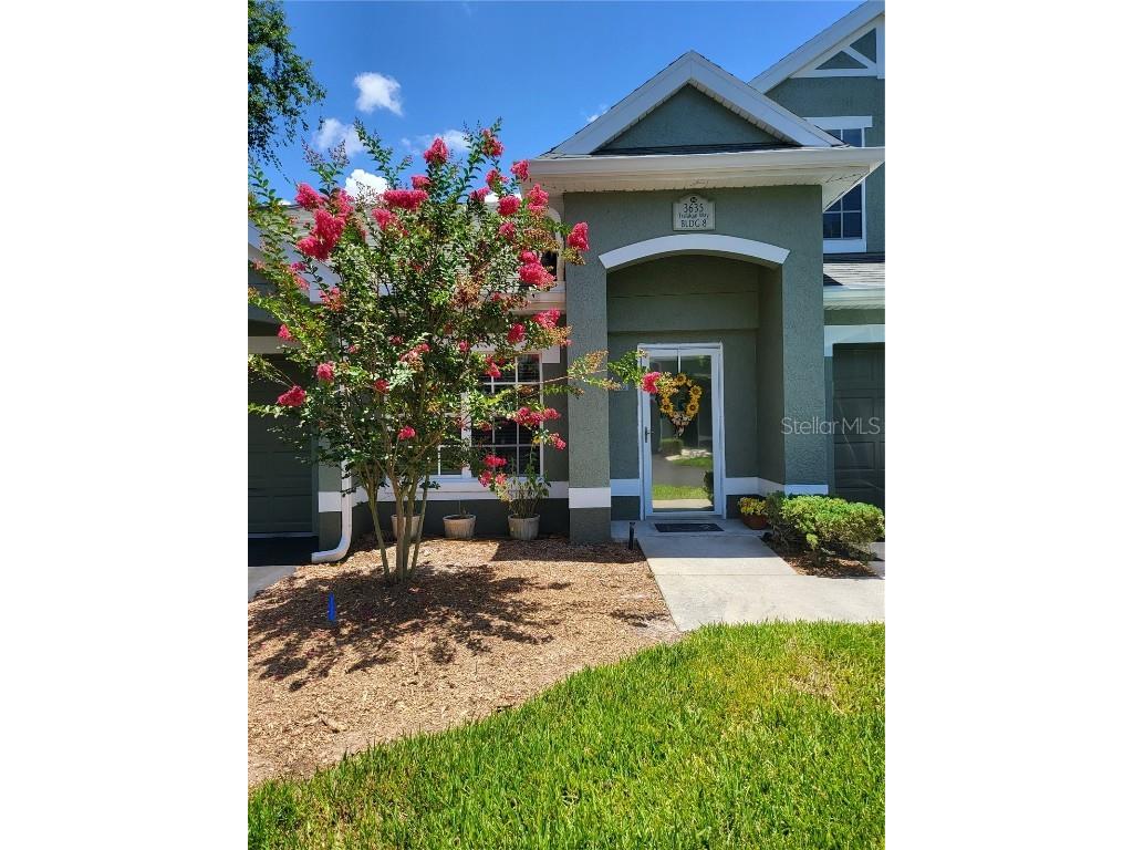 3635 Trafalgar Way #102 Palm Harbor FL 34685 T3463100 image1