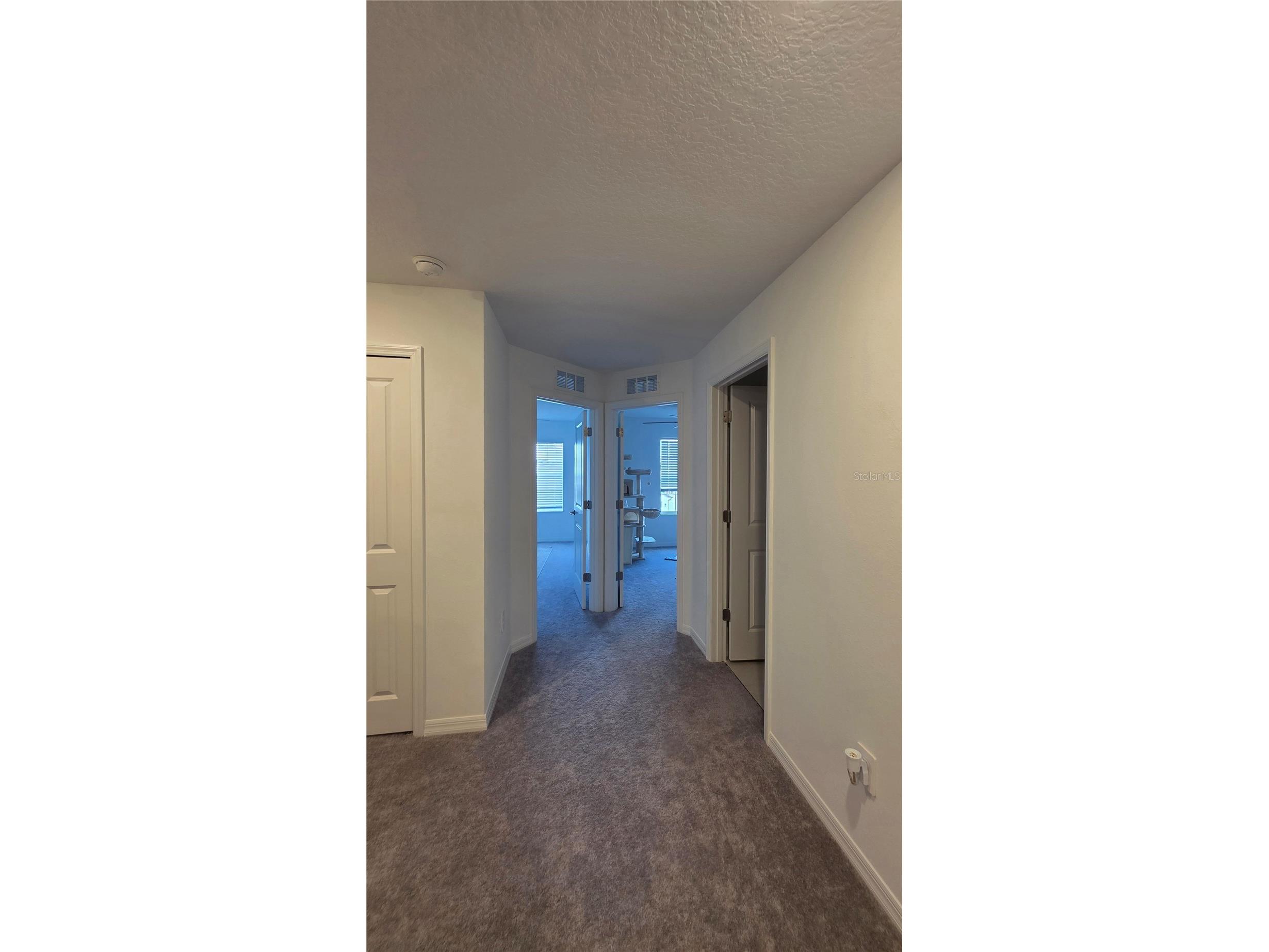 36352 Well Hill Way Zephyrhills FL 33541 TB8506698 image10