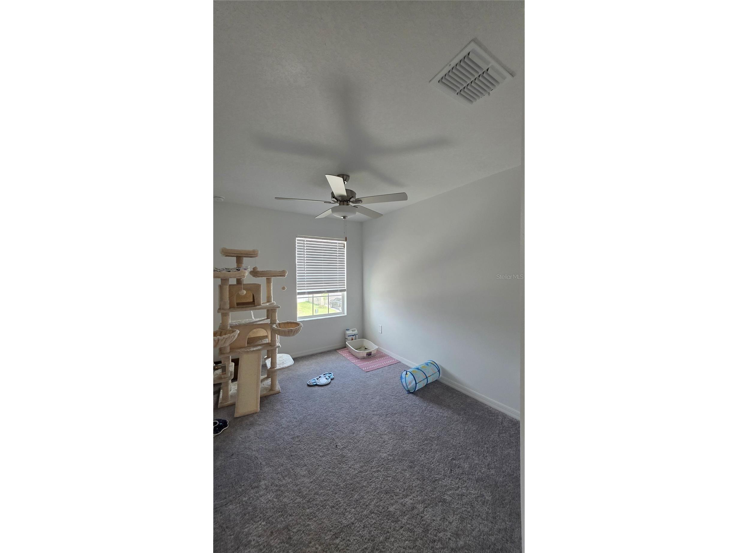 36352 Well Hill Way Zephyrhills FL 33541 TB8506698 image15