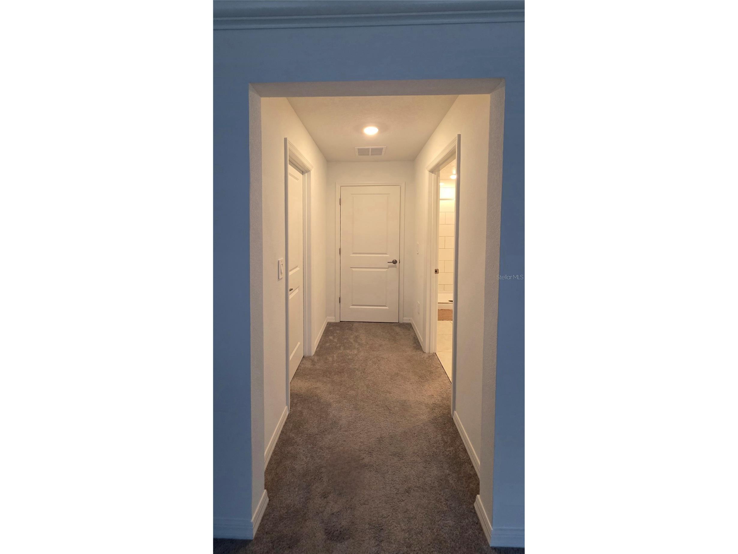 36352 Well Hill Way Zephyrhills FL 33541 TB8506698 image18