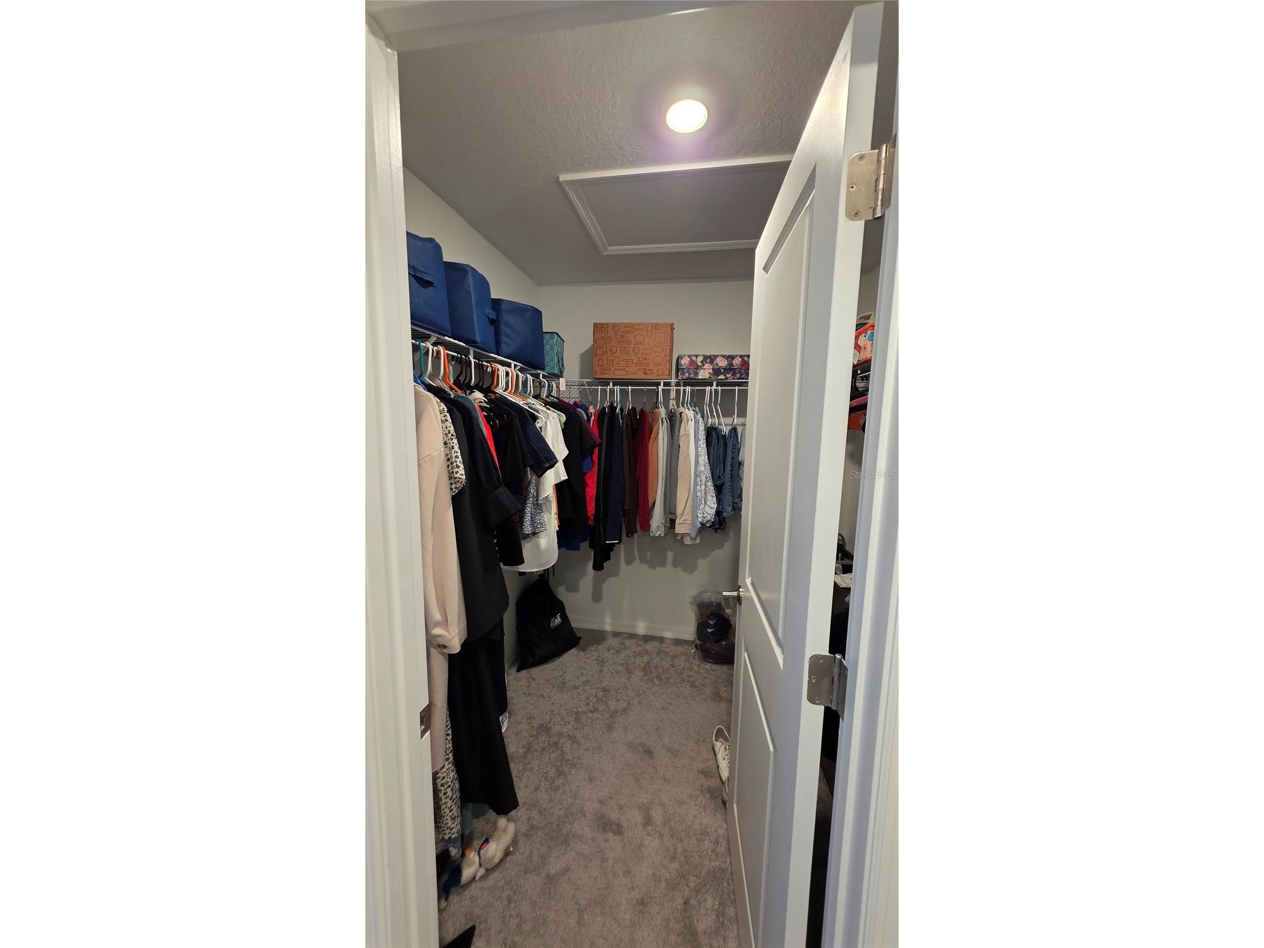 36352 Well Hill Way Zephyrhills FL 33541 TB8506698 image19