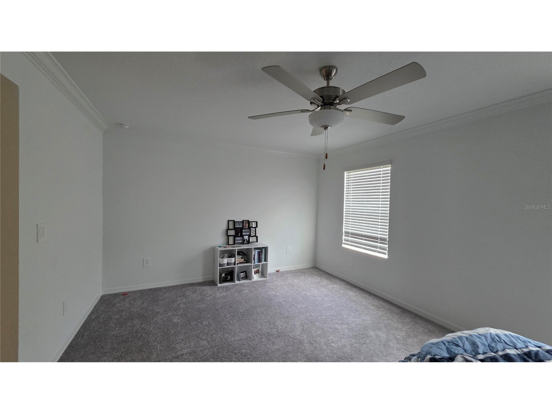 36352 Well Hill Way Zephyrhills FL 33541 TB8506698 image22