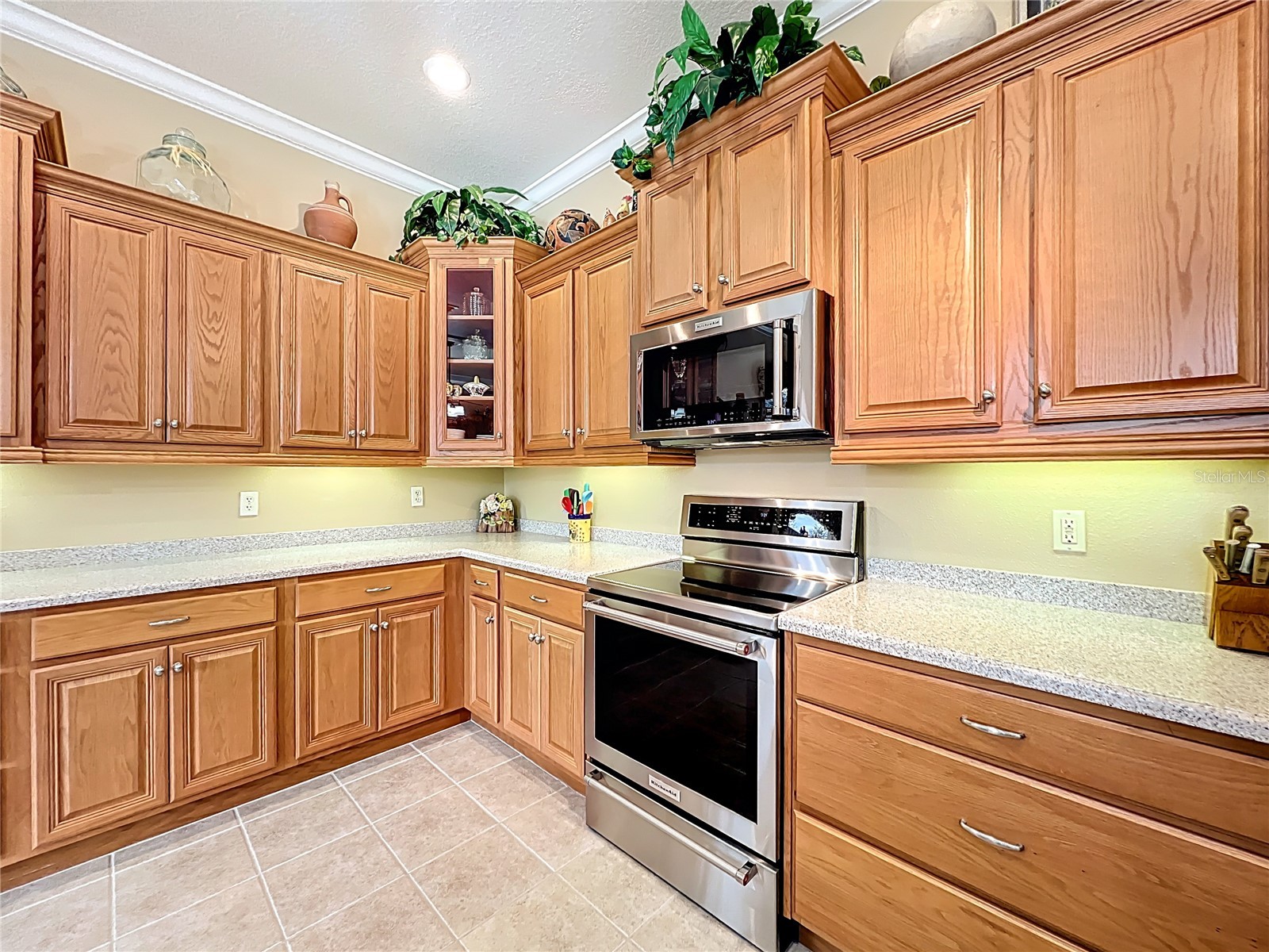 3636 Belle Rose Drive Leesburg FL 34748 G5106759 image19