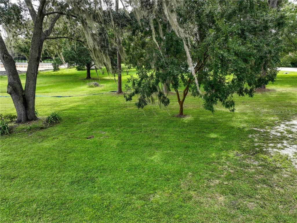 3636 E C-466 Oxford FL 34484 G5102616 image6