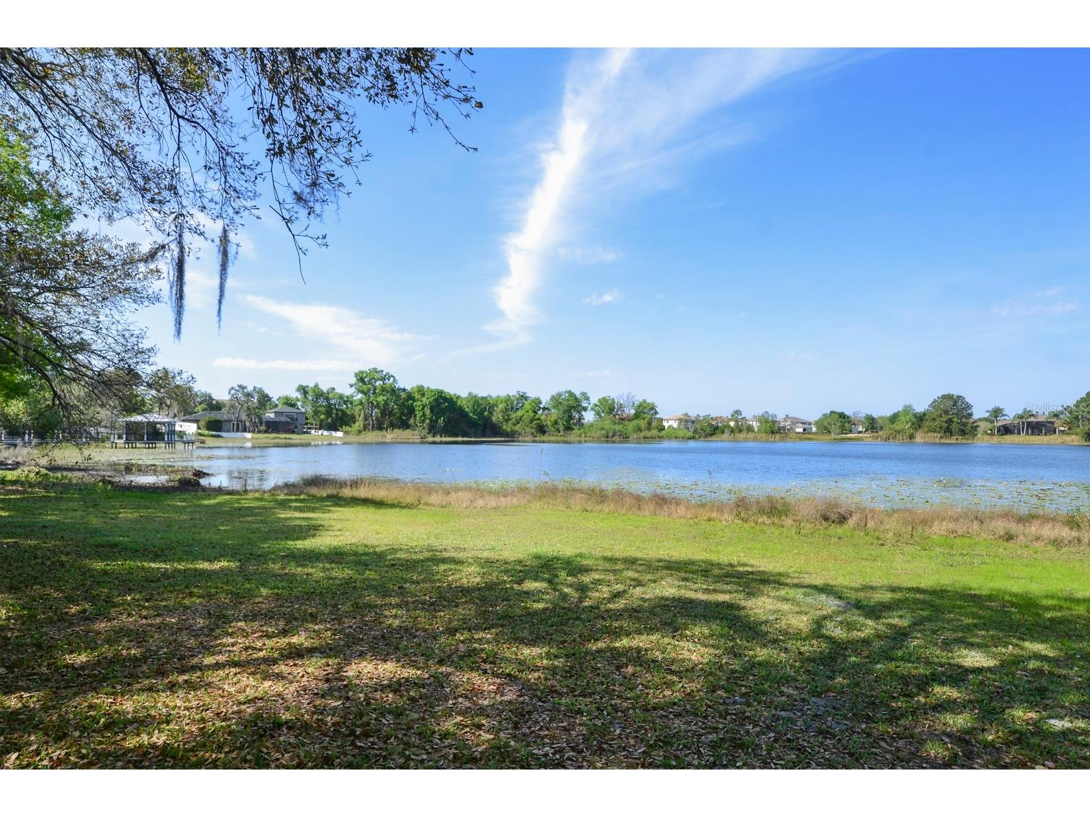3636 Lake Buynak Road Windermere FL 34786 - LAKE BUYNAK O6403466 image3
