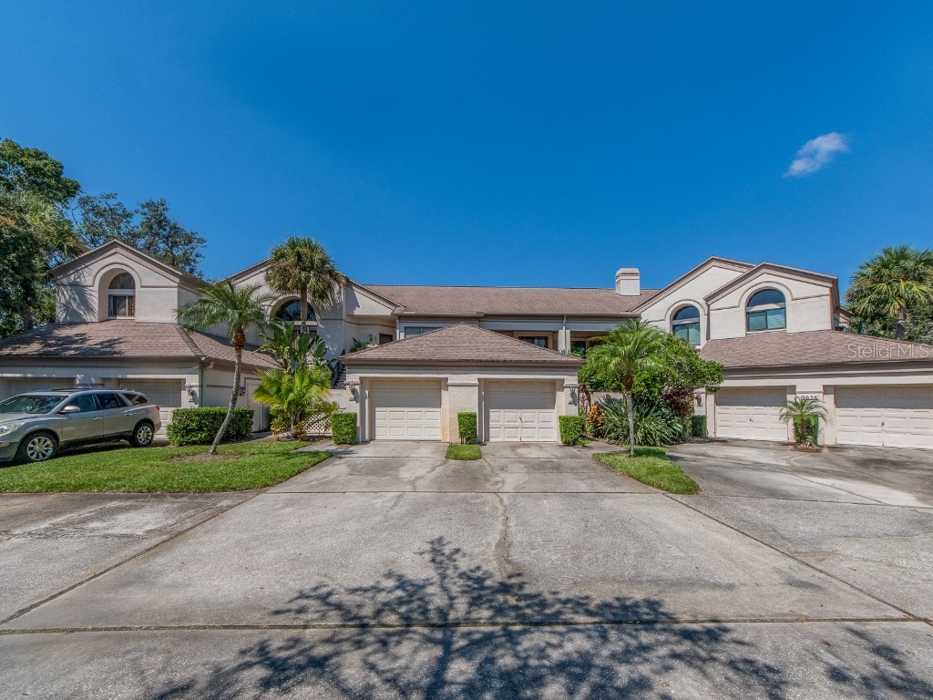 3636 Oak Haven Drive #102 Palm Harbor FL 34684 TB8429836 image1