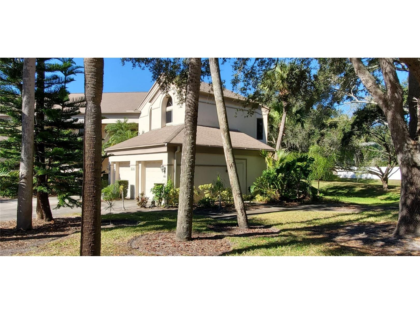3636 Oak Haven Drive #203 Palm Harbor FL 34684 U8144761 image1
