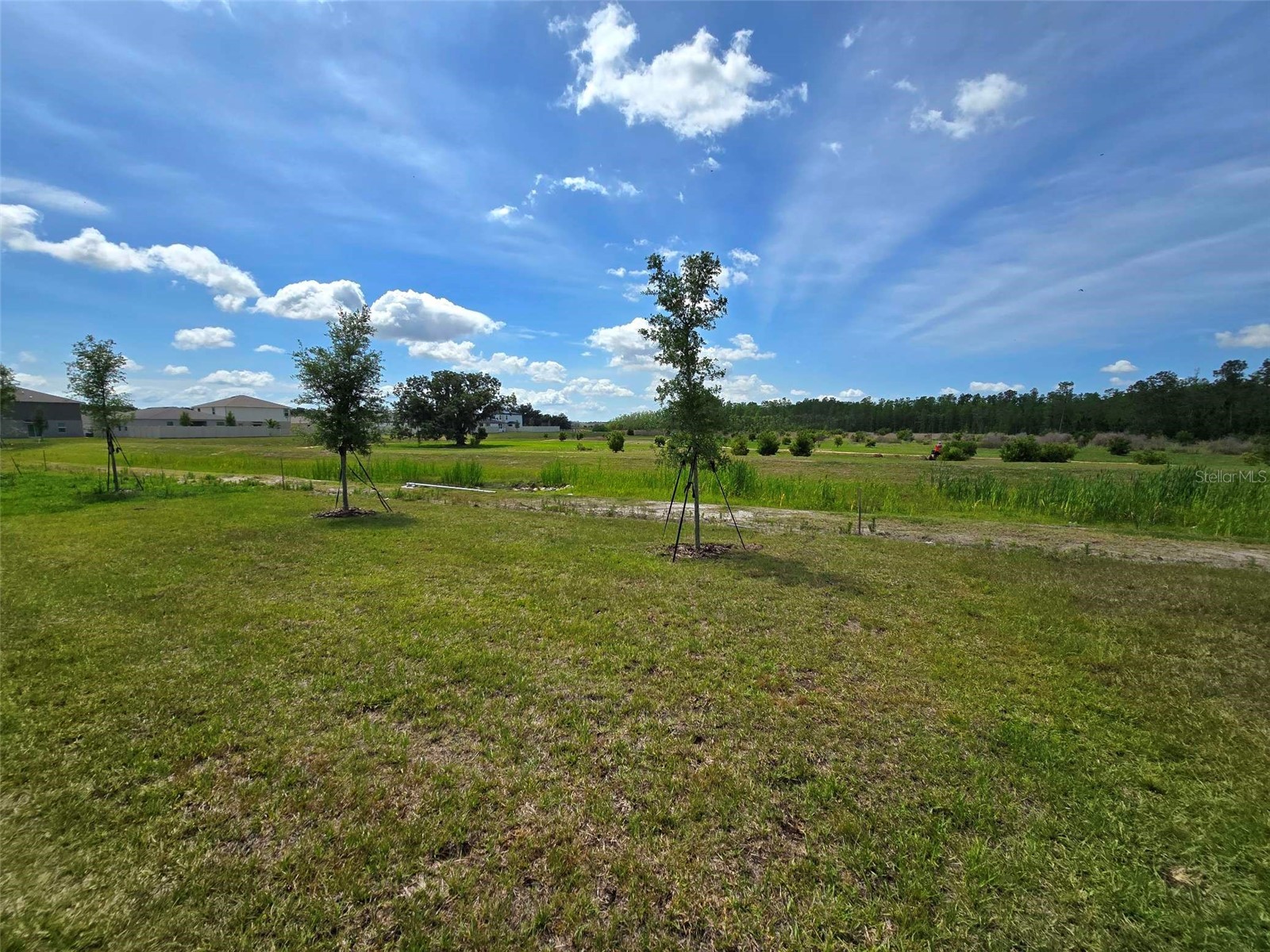 3636 Rolling Ridge Bend Davenport FL 33837 O6404350 image24