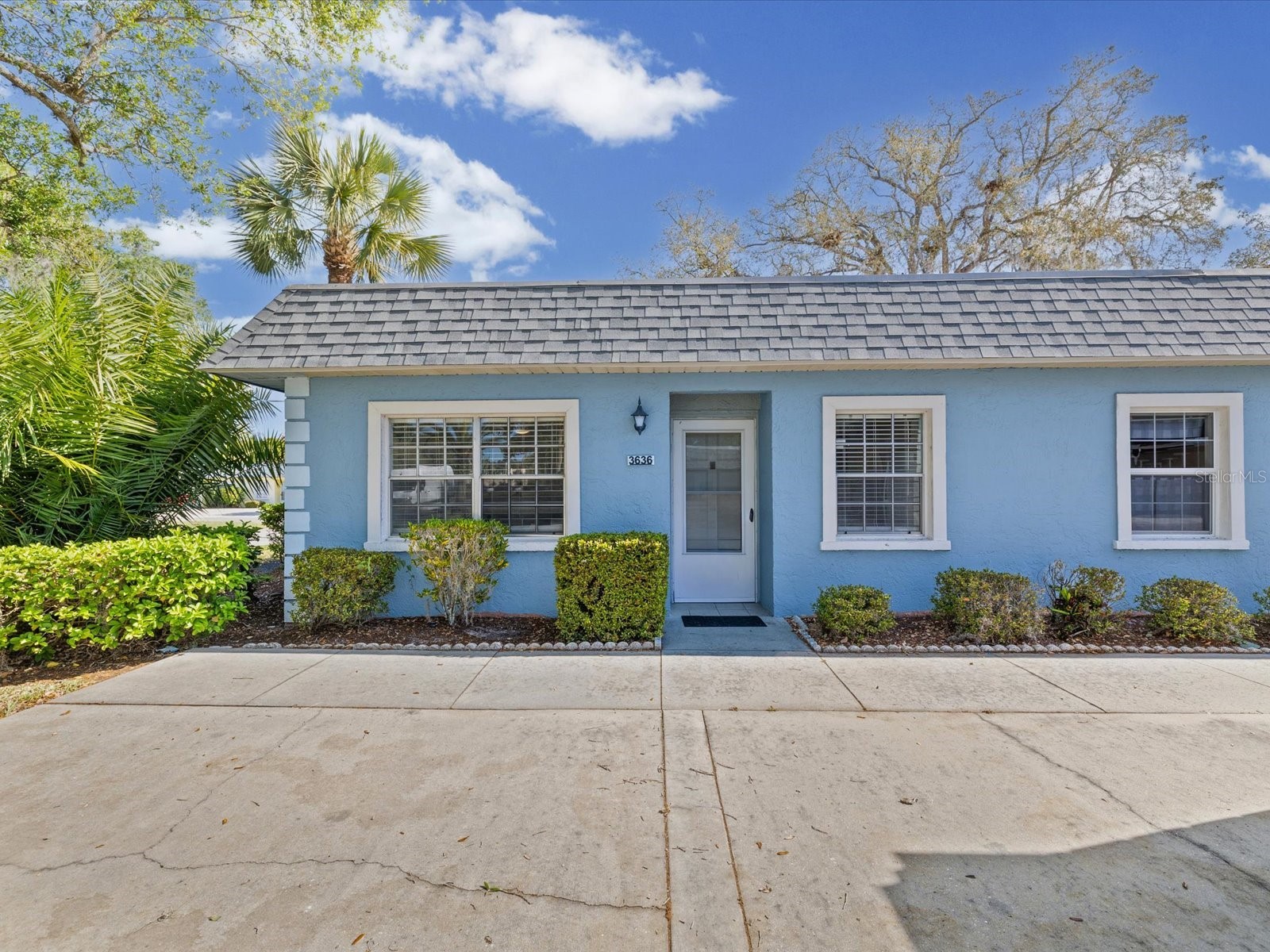 3636 Trophy Boulevard #3636 New Port Richey FL 34655 TB8494211 image1