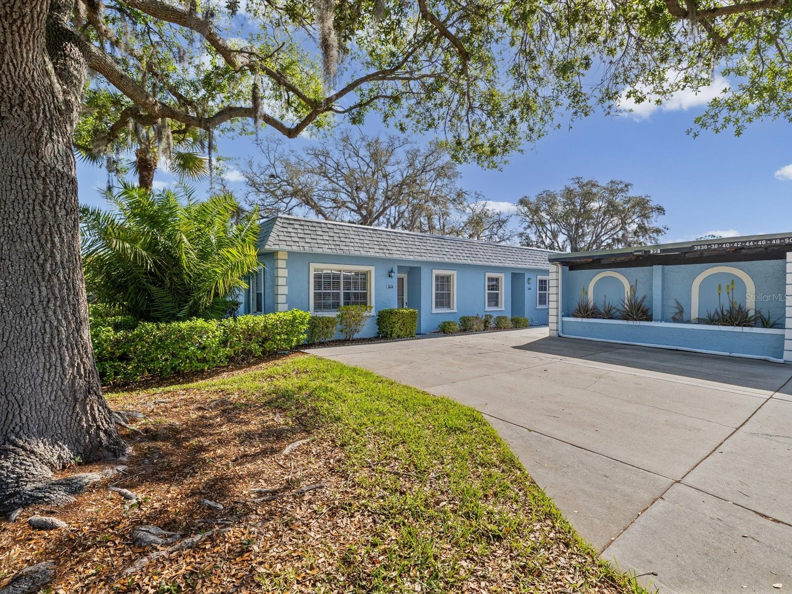 3636 Trophy Boulevard #3636 New Port Richey FL 34655 TB8494211 image28