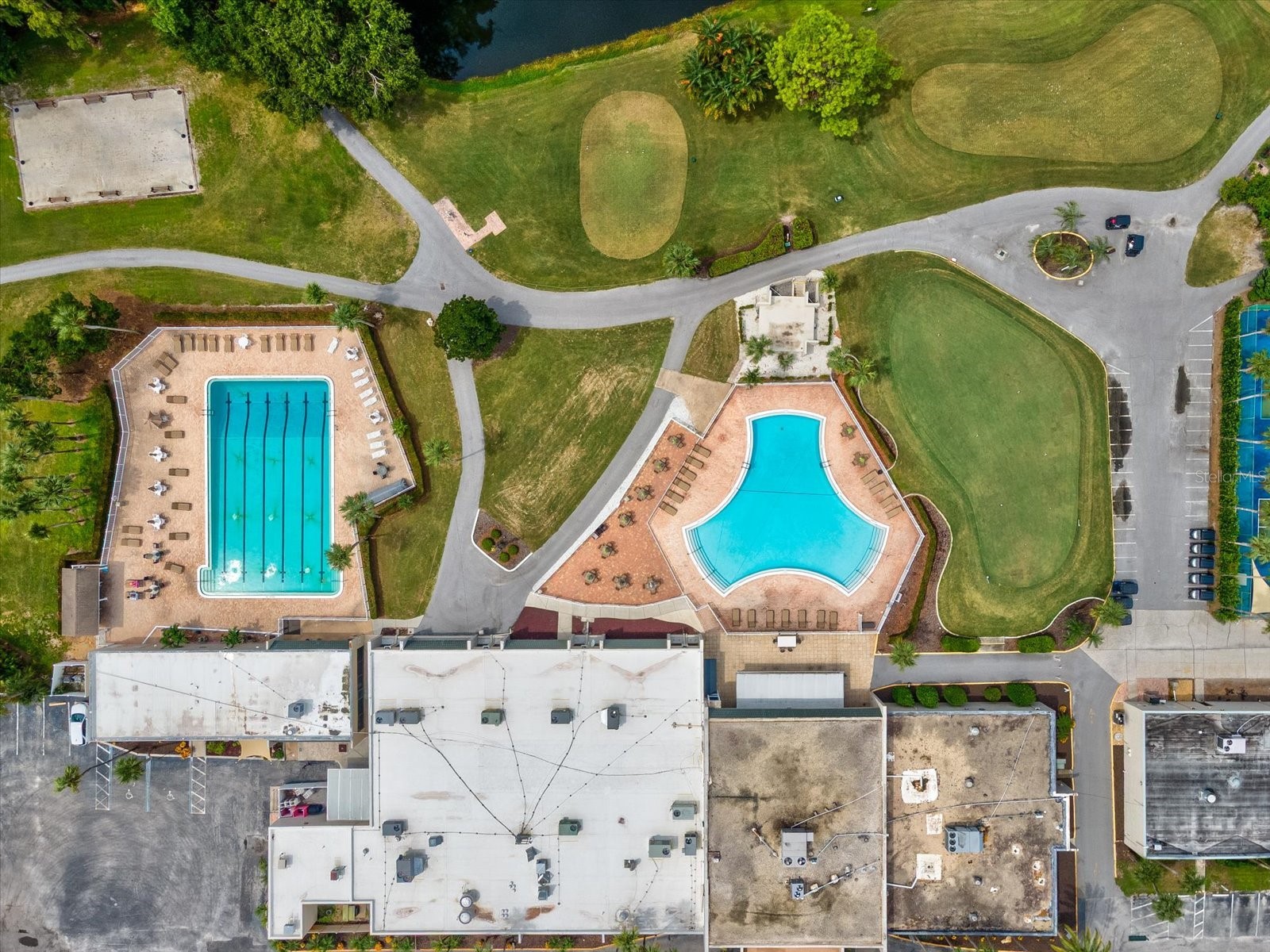 3636 Trophy Boulevard #3636 New Port Richey FL 34655 TB8494211 image32