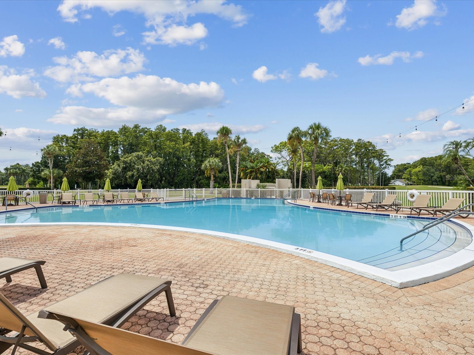 3636 Trophy Boulevard #3636 New Port Richey FL 34655 TB8494211 image33