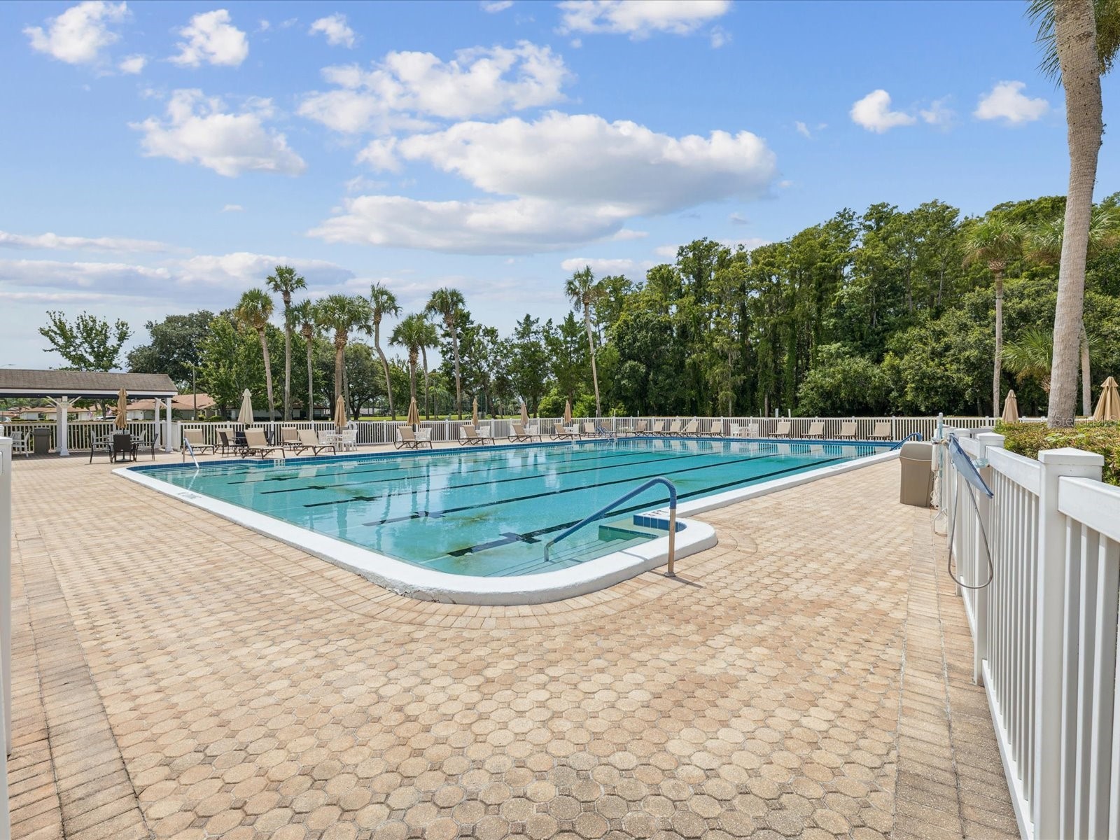 3636 Trophy Boulevard #3636 New Port Richey FL 34655 TB8494211 image35