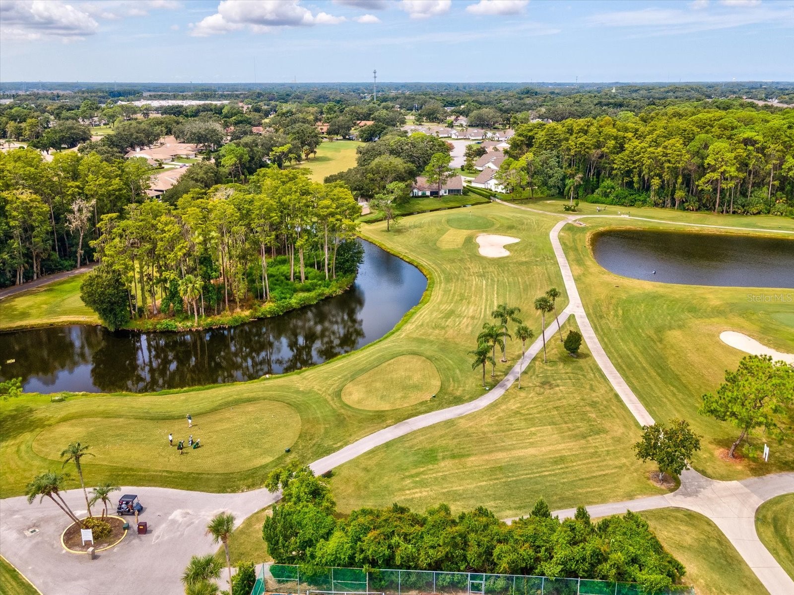 3636 Trophy Boulevard #3636 New Port Richey FL 34655 TB8494211 image41