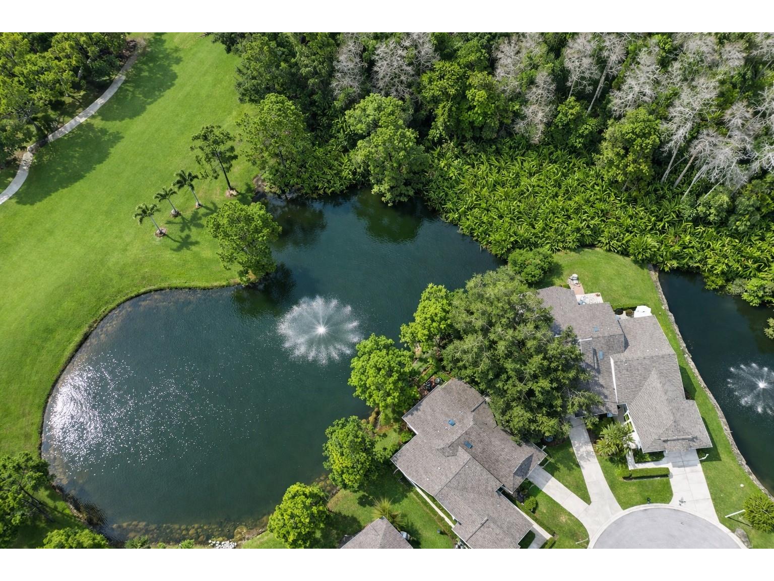 3637 Downfield Place #402 New Port Richey FL 34655 TB8486622 image2