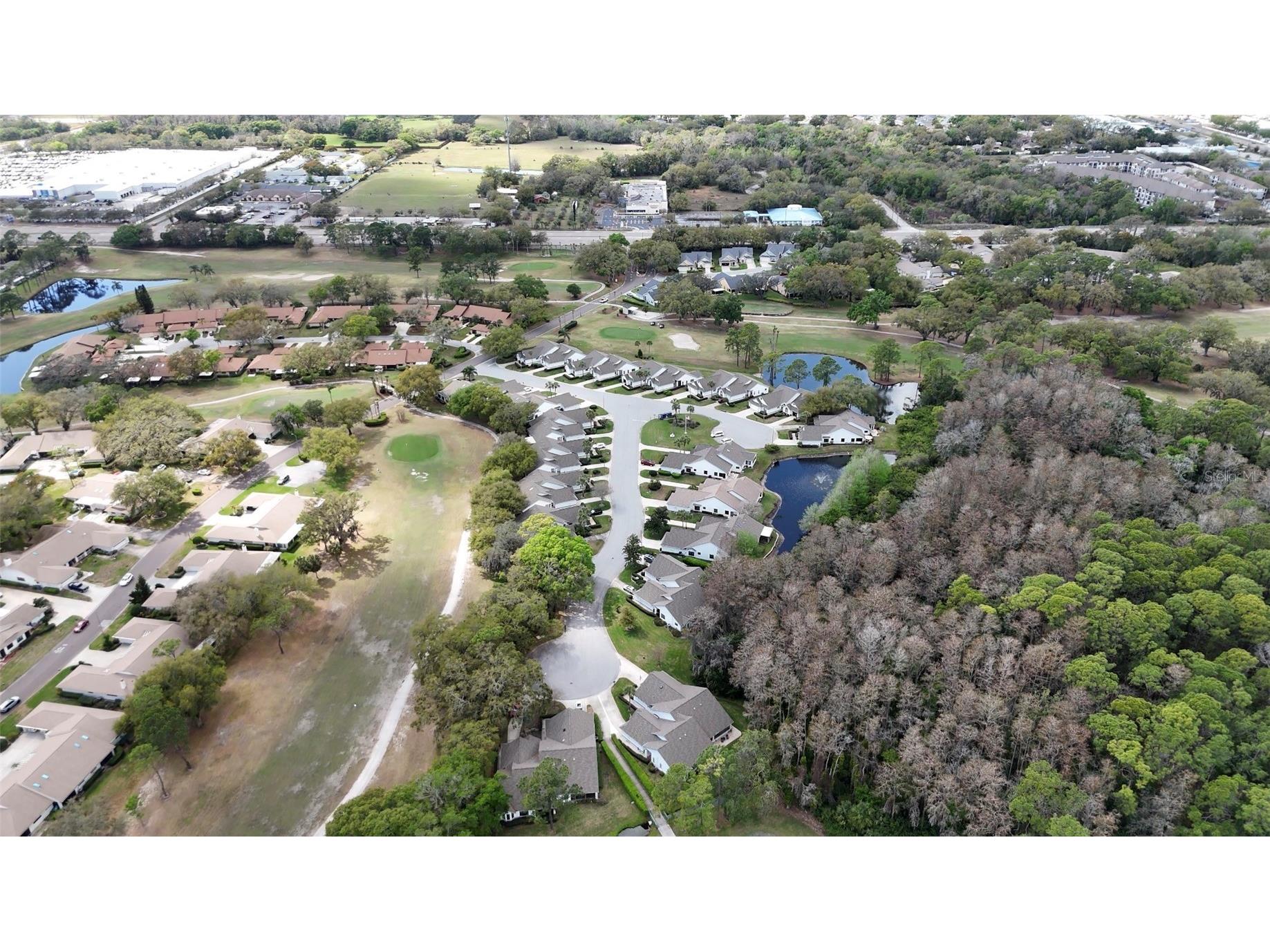 3637 Downfield Place #402 New Port Richey FL 34655 TB8486622 image24