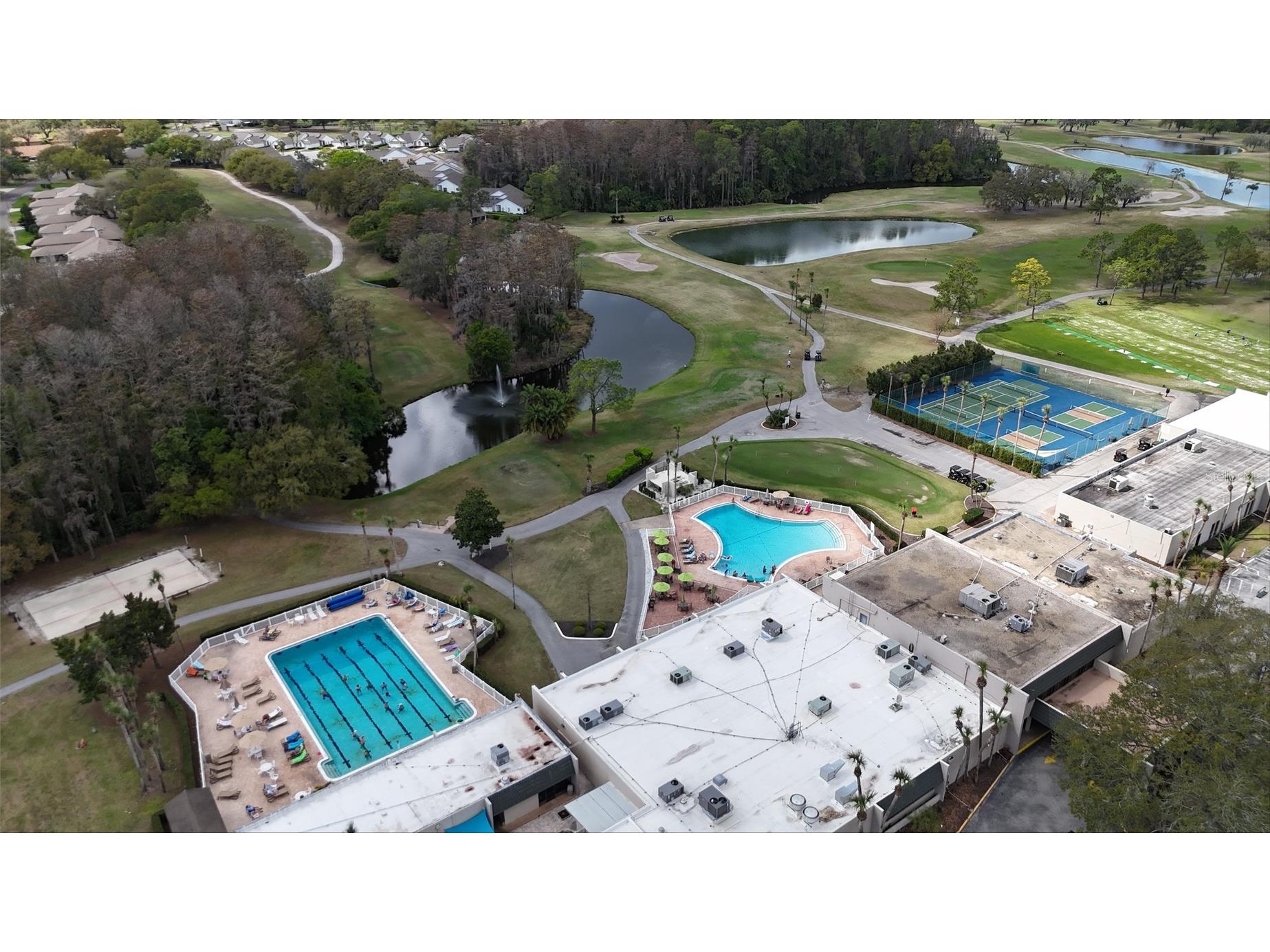 3637 Downfield Place #402 New Port Richey FL 34655 TB8486622 image25