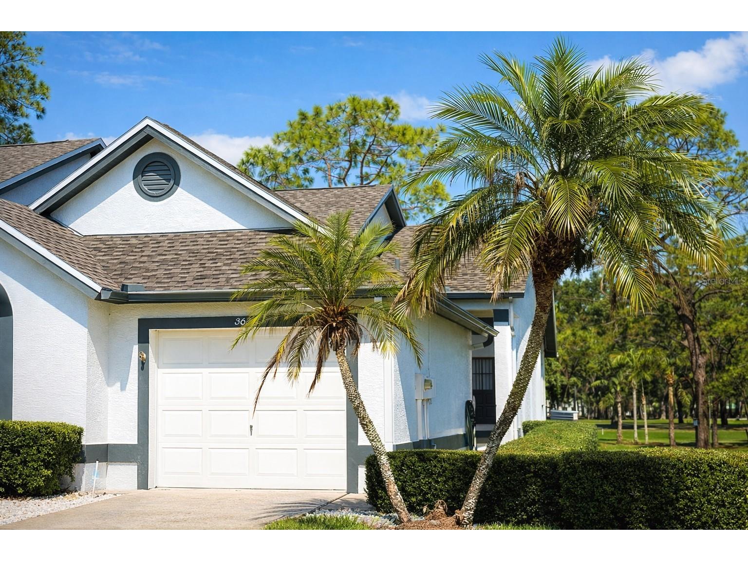 3637 Downfield Place #402 New Port Richey FL 34655 TB8486622 image27