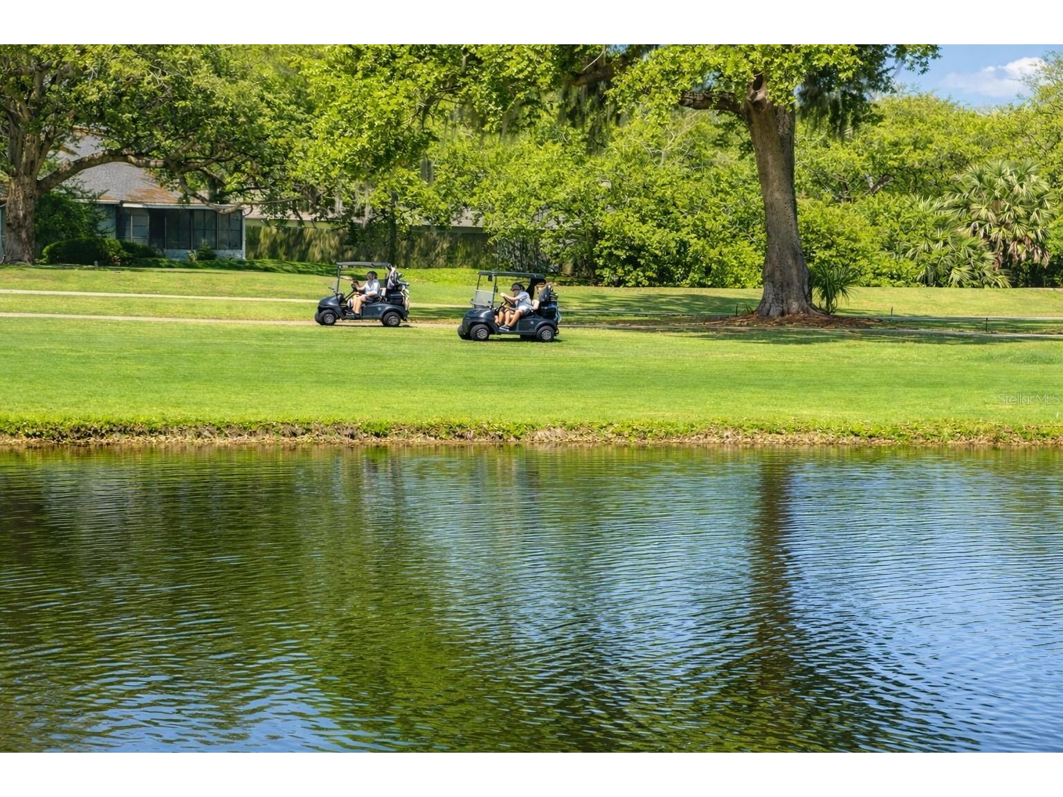 3637 Downfield Place #402 New Port Richey FL 34655 TB8486622 image28
