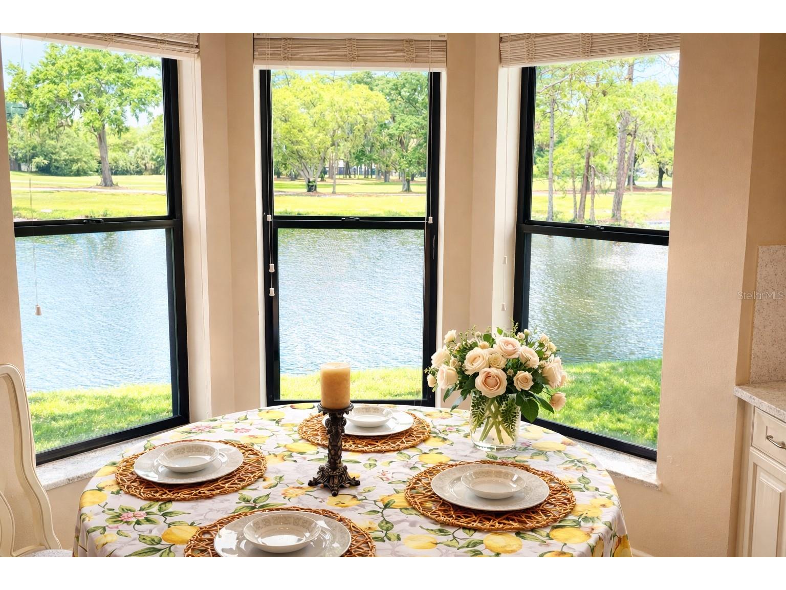 3637 Downfield Place #402 New Port Richey FL 34655 TB8486622 image4
