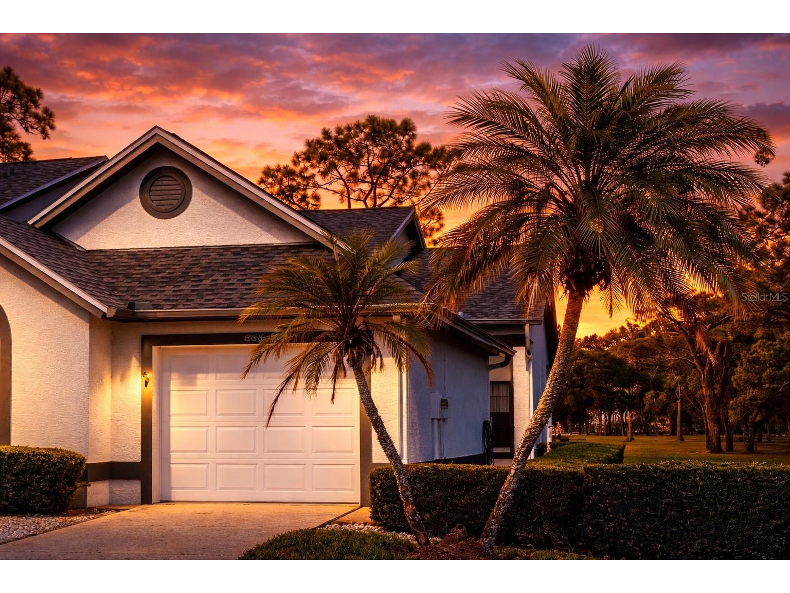 3637 Downfield Place #402 New Port Richey FL 34655 TB8486622 image6