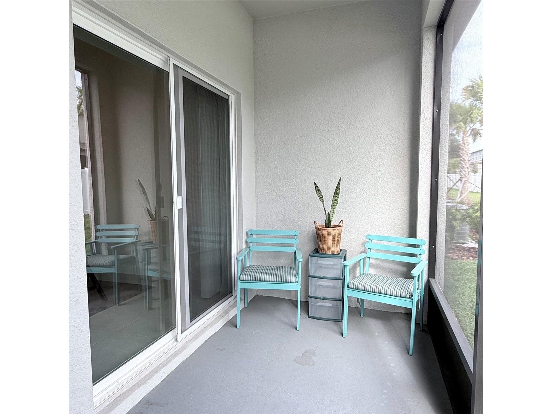 36370 Well Hill Way Zephyrhills FL 33541 TB8492614 image14