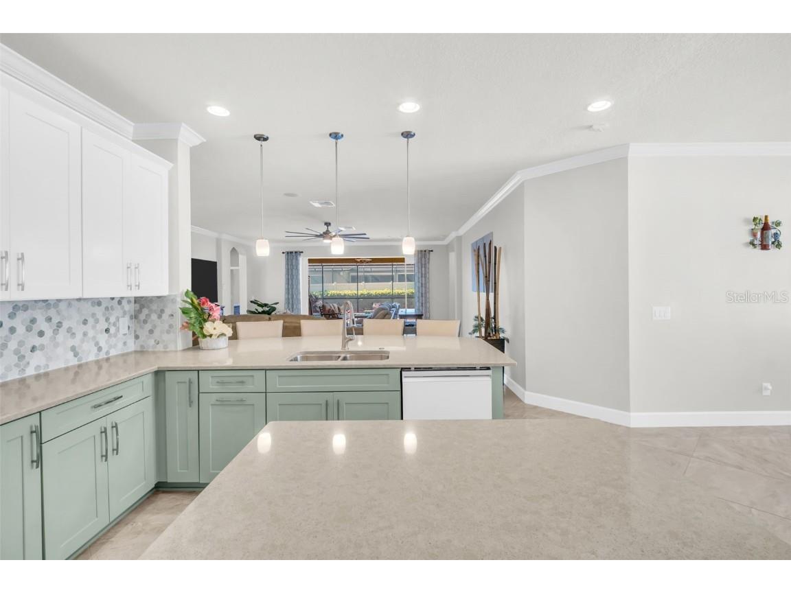 3638 Arboretum Place Palm Harbor FL 34683 TB8445355 image23