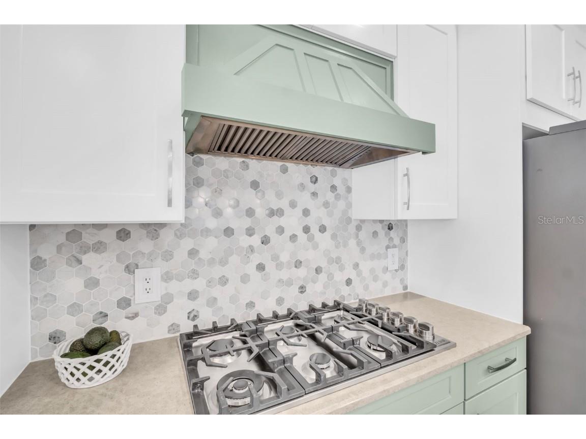 3638 Arboretum Place Palm Harbor FL 34683 TB8445355 image27