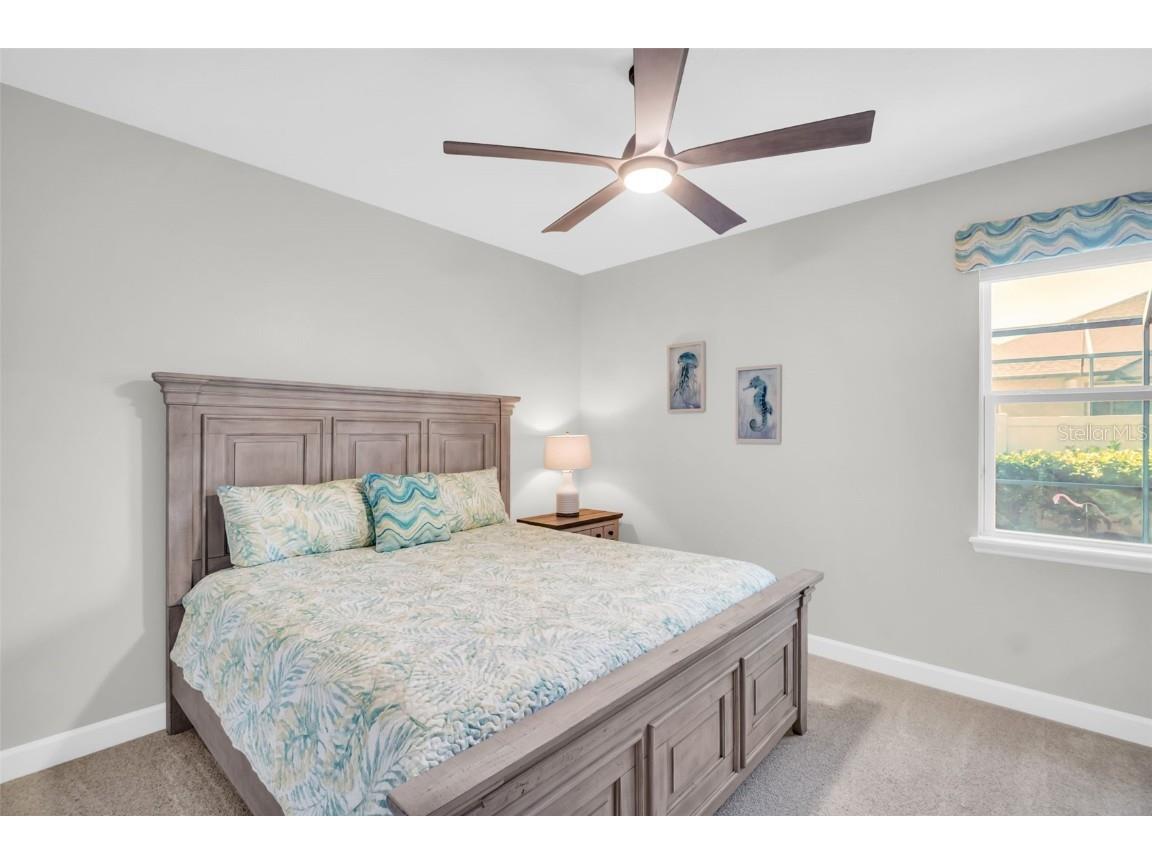 3638 Arboretum Place Palm Harbor FL 34683 TB8445355 image45