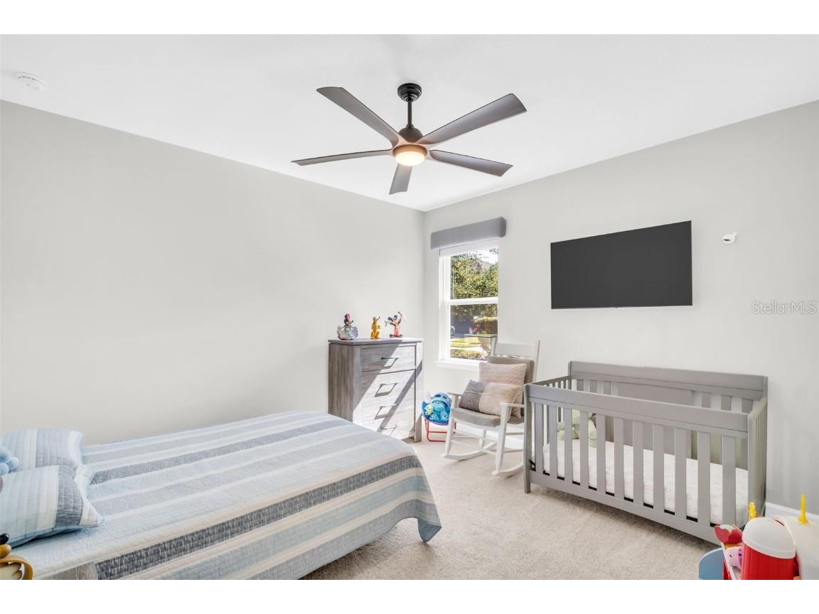 3638 Arboretum Place Palm Harbor FL 34683 TB8445355 image48