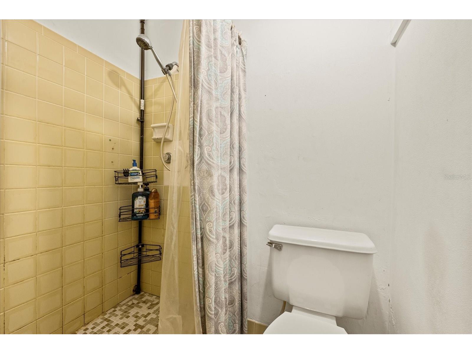 3638 Bigelow Drive Holiday FL 34691 W7882161 image20