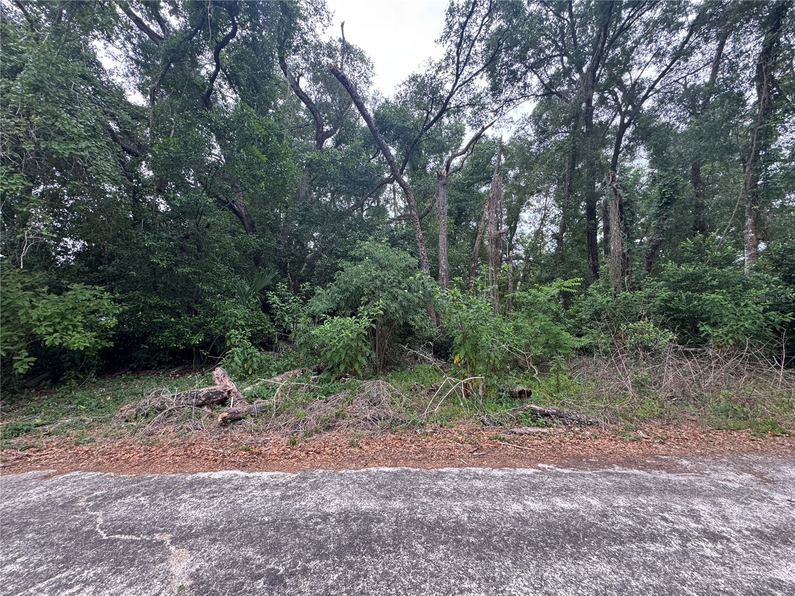 3638 E Lee Drive Inverness FL 34453 GC540287 image1
