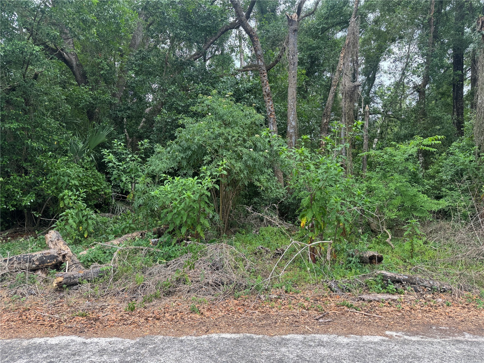 3638 E Lee Drive Inverness FL 34453 GC540287 image2