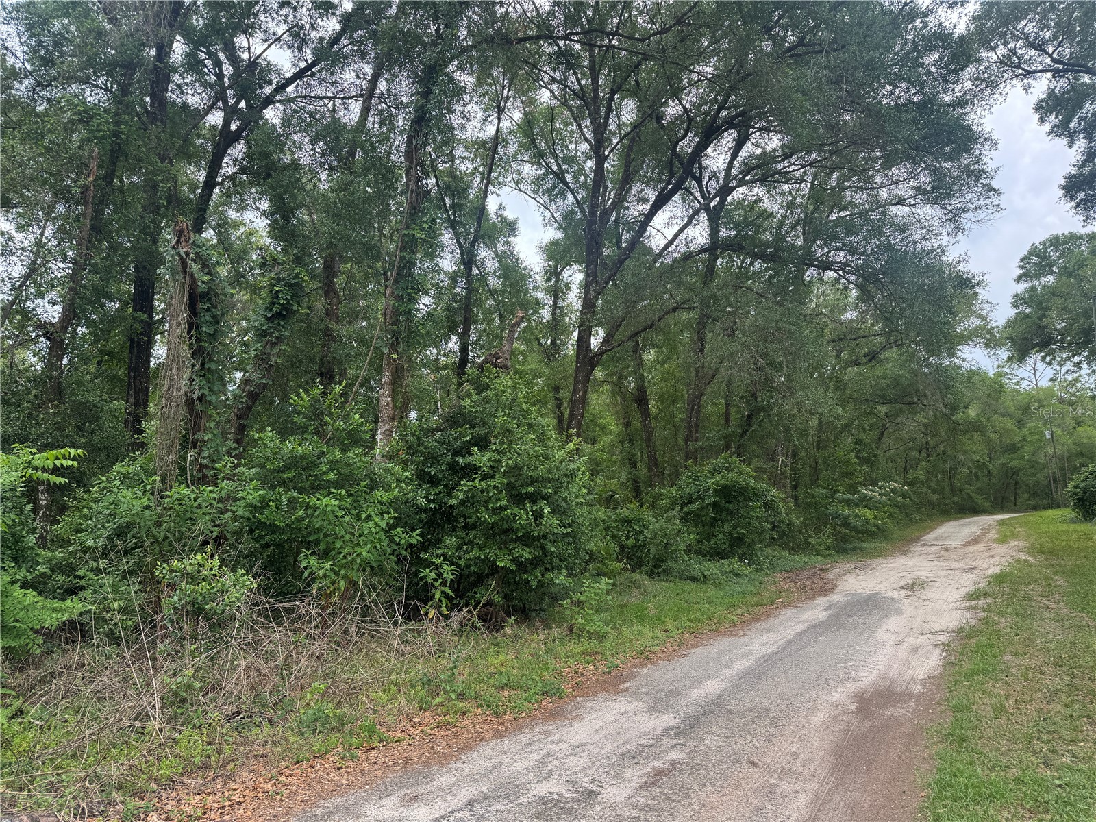3638 E Lee Drive Inverness FL 34453 GC540287 image3