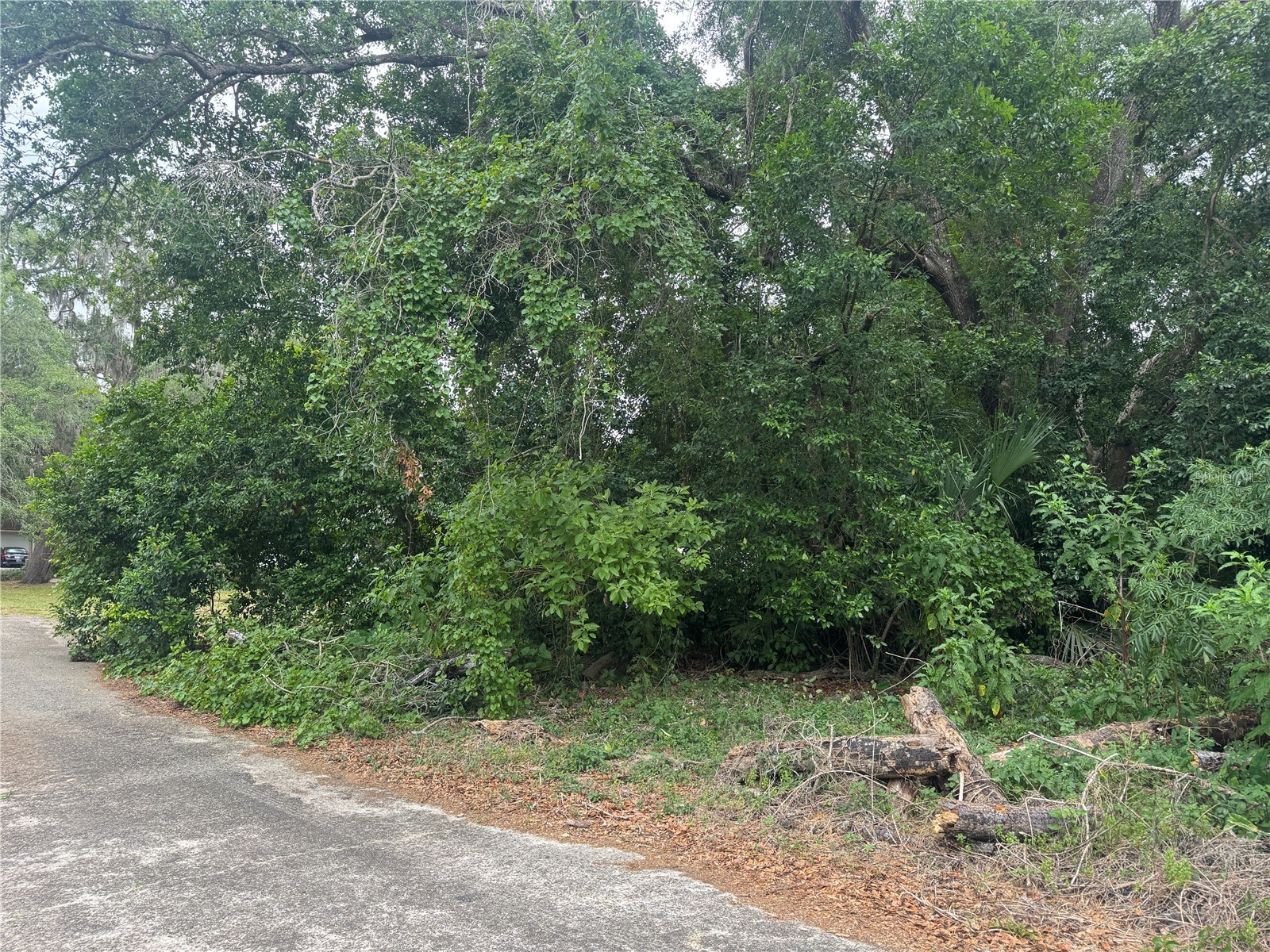 3638 E Lee Drive Inverness FL 34453 GC540287 image4