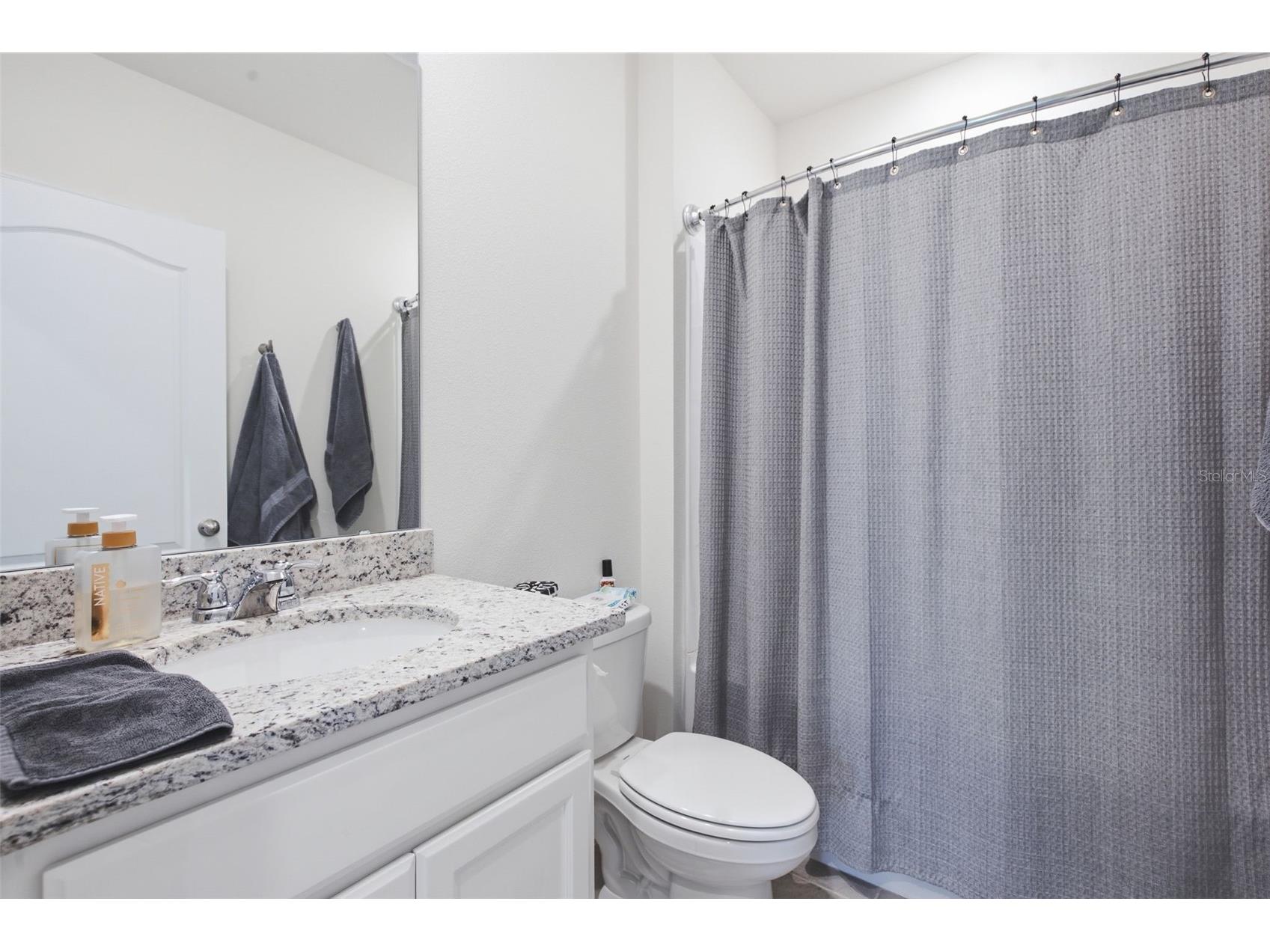 3638 Marlberry Way Sanford FL 32773 O6423601 image8
