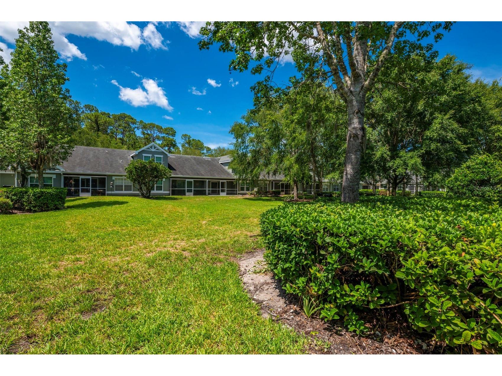 3638 Trafalgar Way #101 Palm Harbor FL 34685 TB8514773 image25
